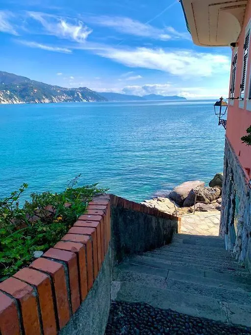 Apartmán Casa Pomaro-Sul Mare-Vicino A Portofino Rapallo Itálie
